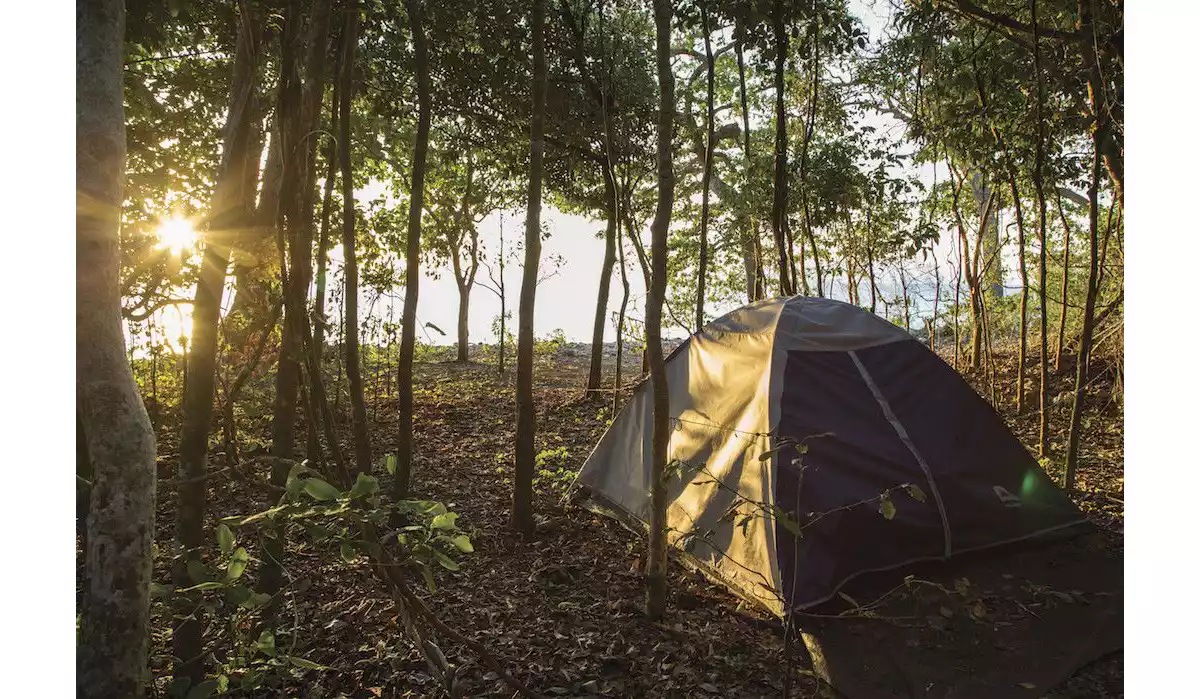 How To Camp In The Qld Tropics And Survive Queensland