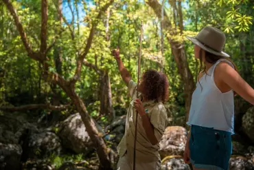 Mossman Gorge Centre, Dreamtime Gorge Walk - guided tour