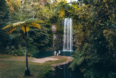 Cairns' Best Day Trips - Things to Do | Queensland