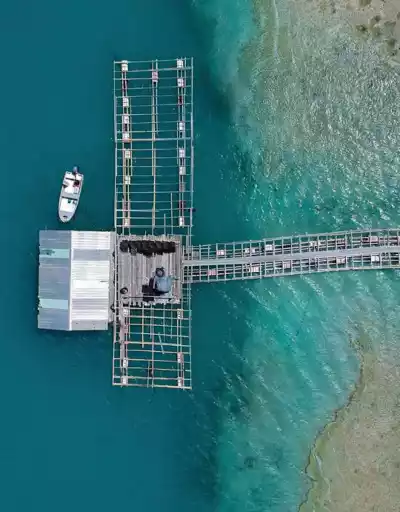 トレス海峡 トレス海峡