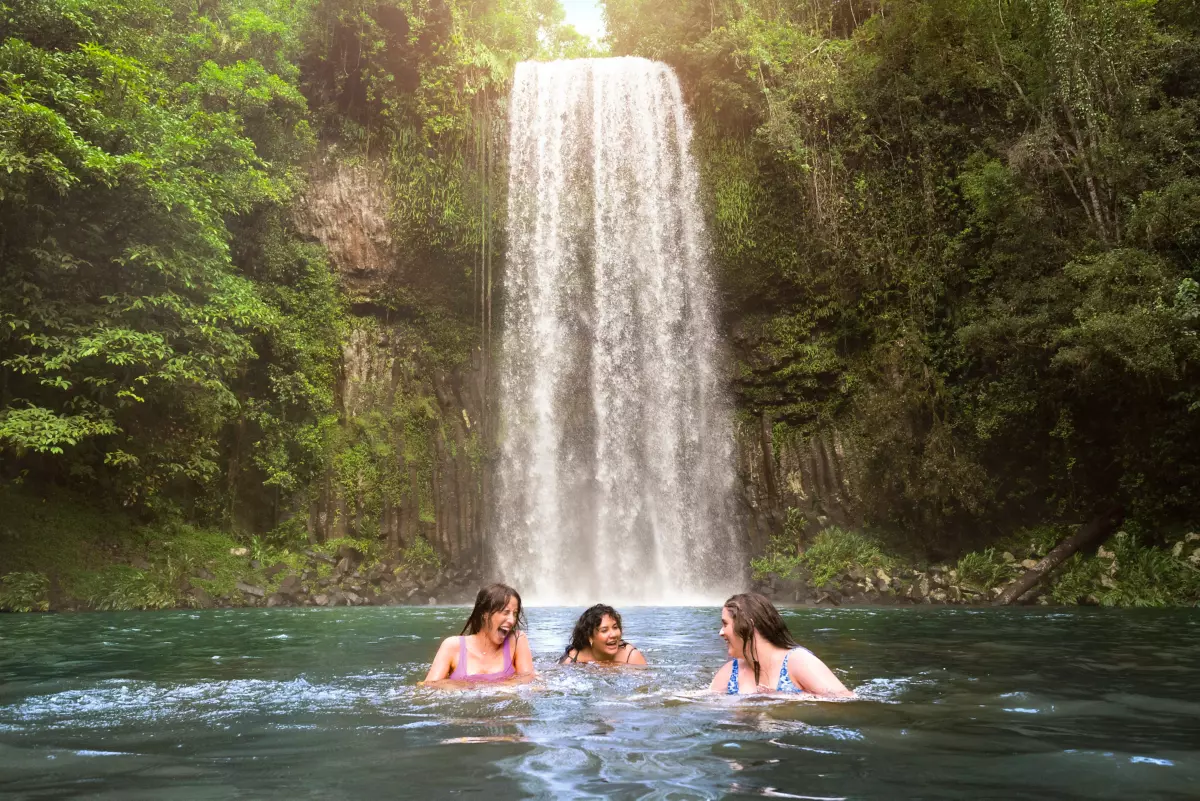 Millaa Milla Falls | Free things to do Cairns