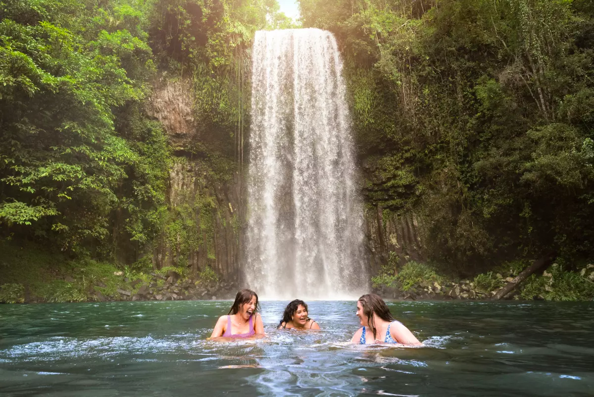 Millaa Milla Falls | Free things to do Cairns