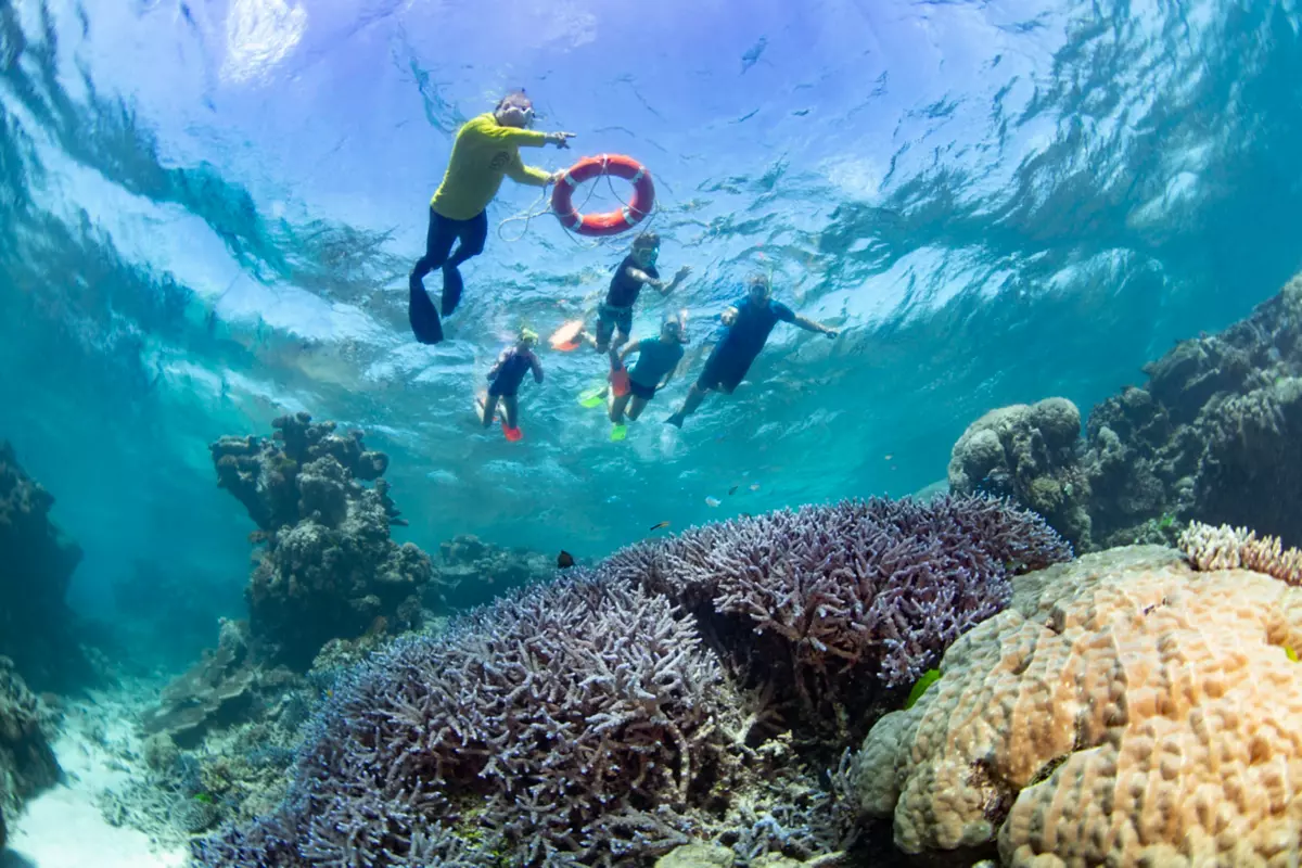 The MustDo Guided Tours in Cairns and Great Barrier Reef Queensland