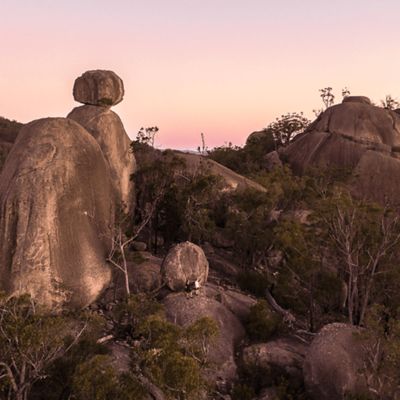 The Best PetFriendly Campgrounds Near The Gold Coast Queensland