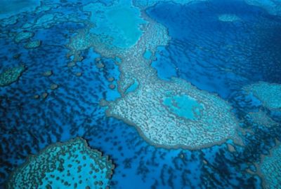 オーストラリアの世界遺産グレートバリアリーフの珊瑚の状態が36