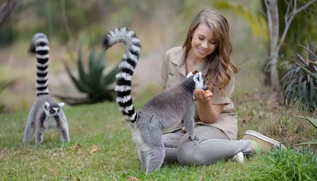 Bindi S 22nd Birthday At Australia Zoo Queensland
