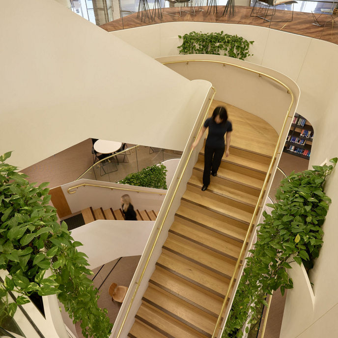 Interior image of 480 Queen Street Brisbane multi-level office suite staircase with vertical gardens 