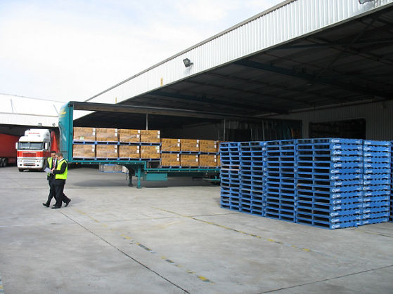 Exterior image of 93 Williamson Road warehouse loading bays with trucks and pallets