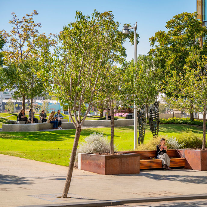 Image of people enjoying grassy outdoor area in Kings Square precinct 
