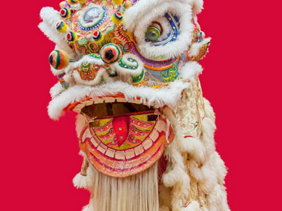 Lion Dance Performance