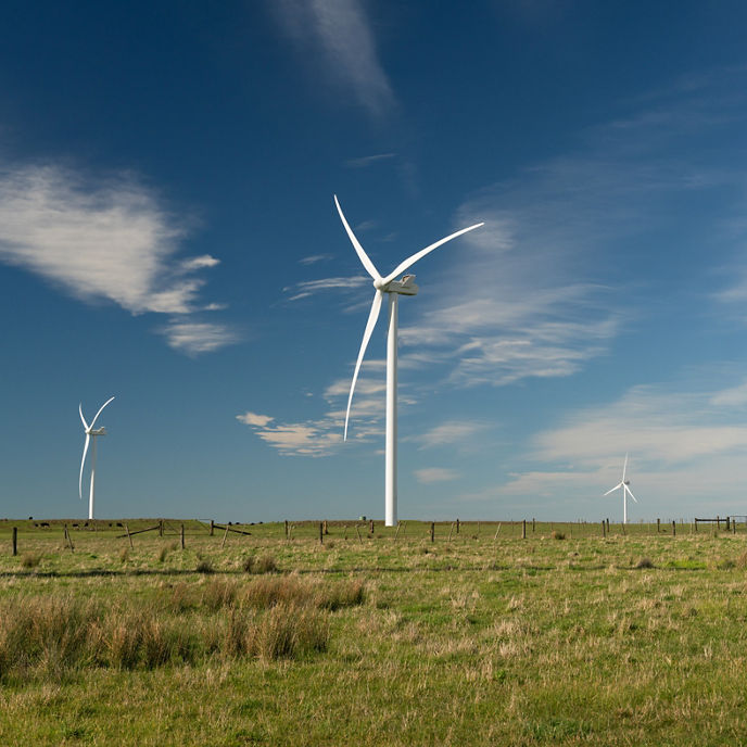 Macarthur Wind Farm