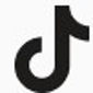 tiktok alt text