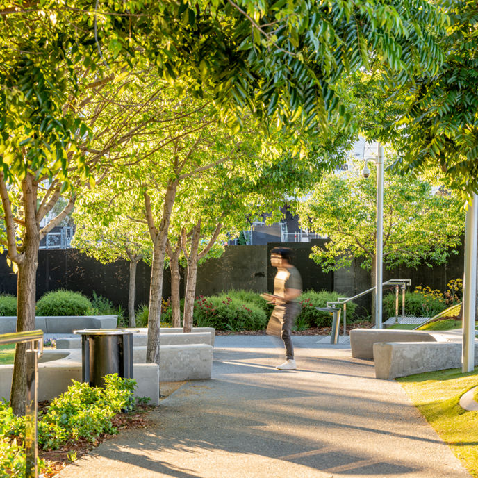 outdoor greenery kings square