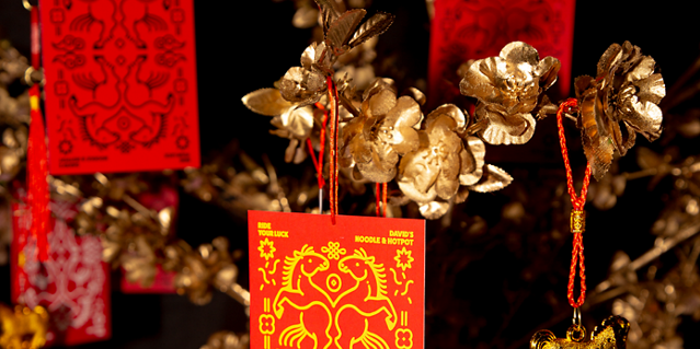 David's Noodle & Hot Pot