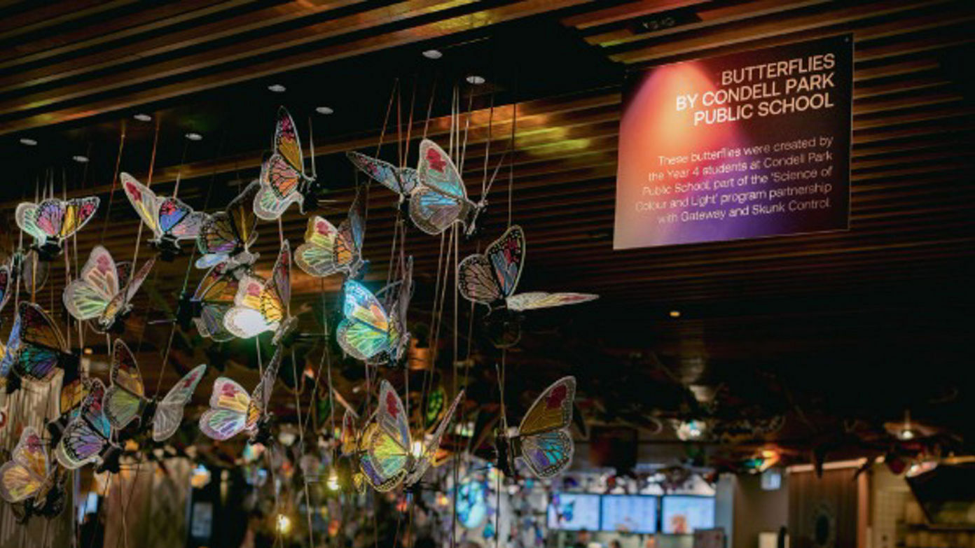 Gateway Sydney flutters for Vivid Sydney