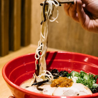 IPPUDO