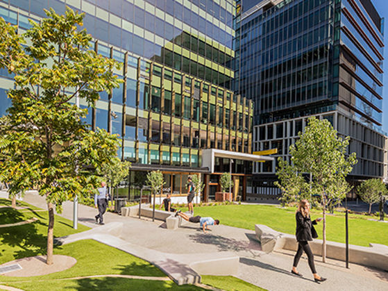 Image of people enjoying grassy outdoor area in Kings Square precinct 