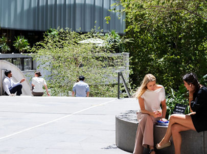 25 martin place external daylight