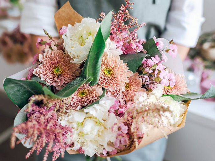 Masteflora &#38; Co. QV