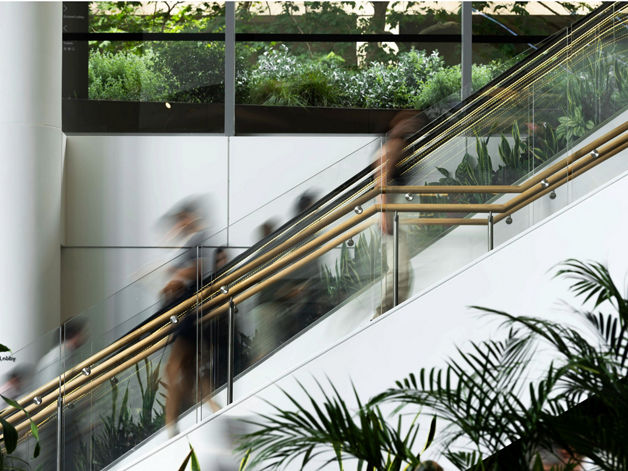 Supporting our suppliers to understand their carbon footprint