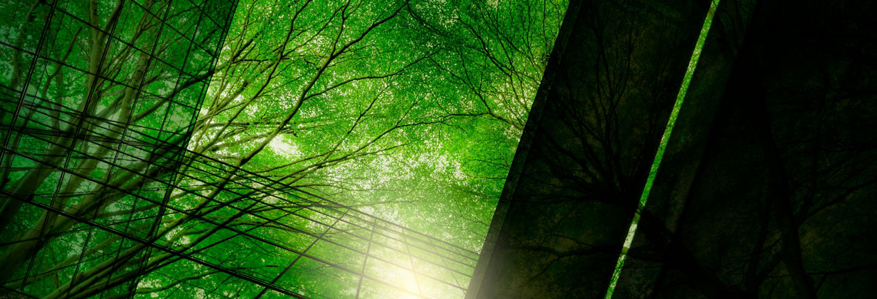 Eco-friendly building in the modern city. Green tree branches with leaves and sustainable glass building for reducing heat and carbon dioxide. Office building with green environment. Go green concept.