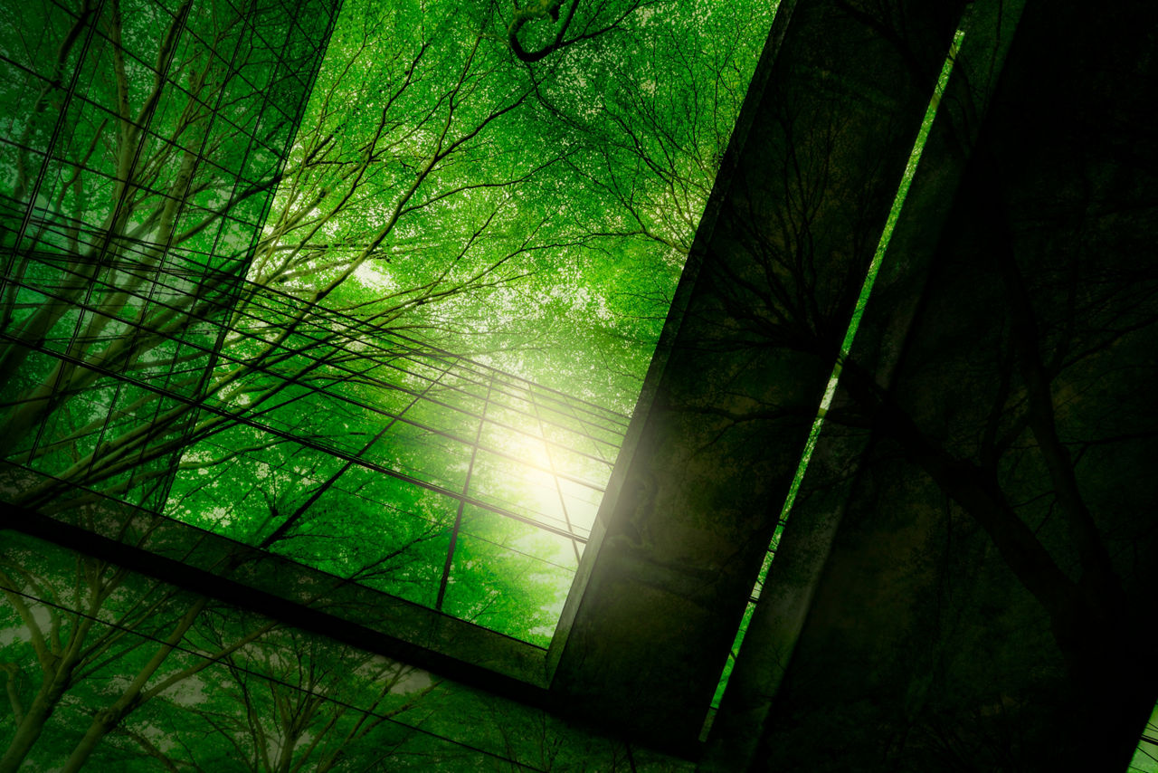 Eco-friendly building in the modern city. Green tree branches with leaves and sustainable glass building for reducing heat and carbon dioxide. Office building with green environment. Go green concept.