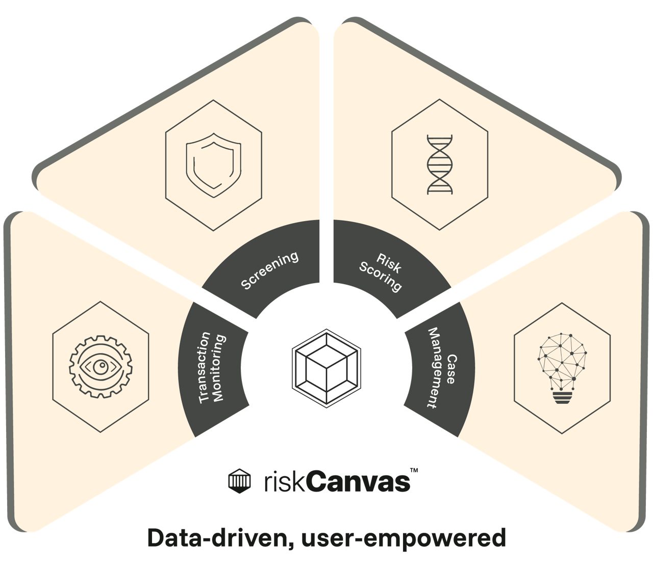 riskcanvas graphic