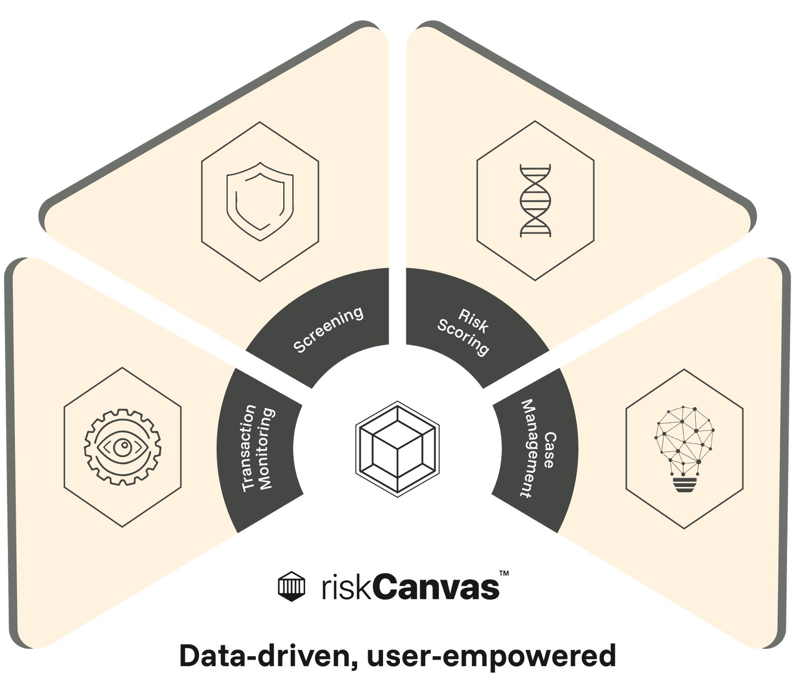 riskcanvas graphic