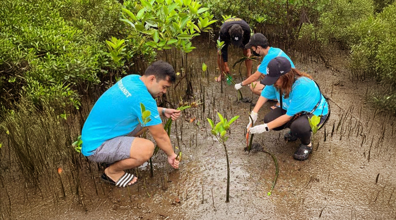 Planting trees