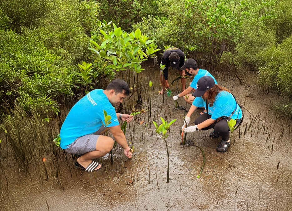 Planting trees