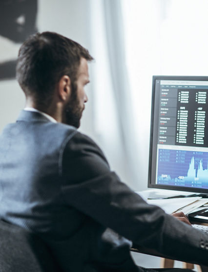 Businesspeople working with finance forecasts on their computers.