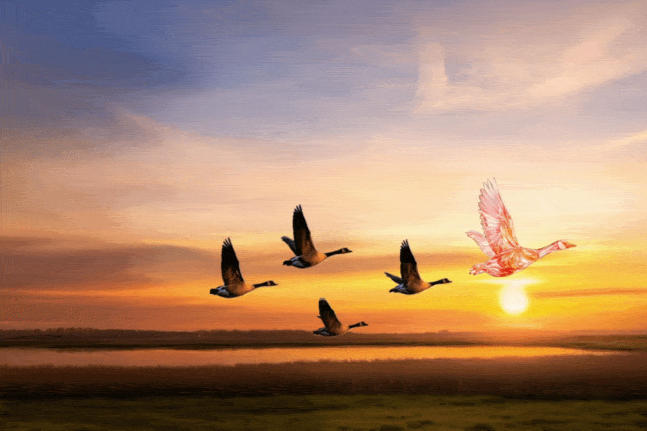 Autonomy requires trust in AI