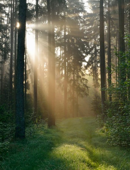 Franconia, Bavaria, Germany.