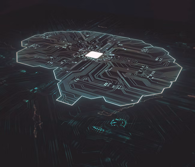 brain shaped computer chip