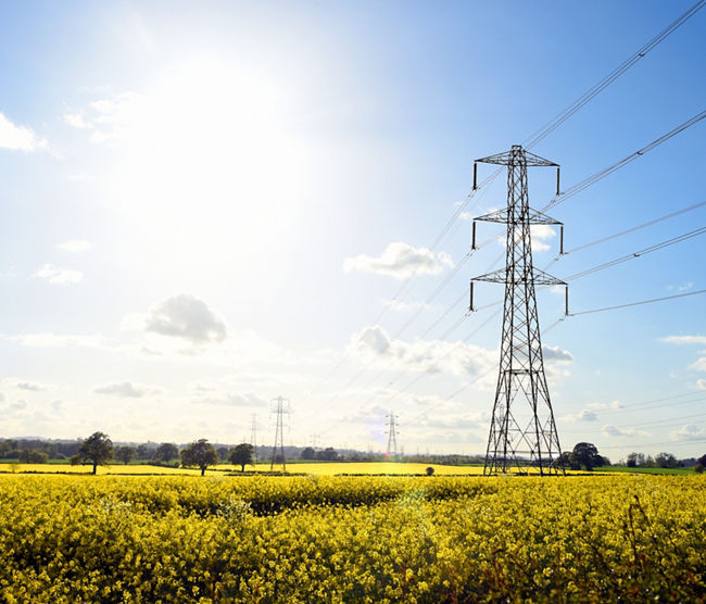 Electricity Grid - Rapeseed Fields