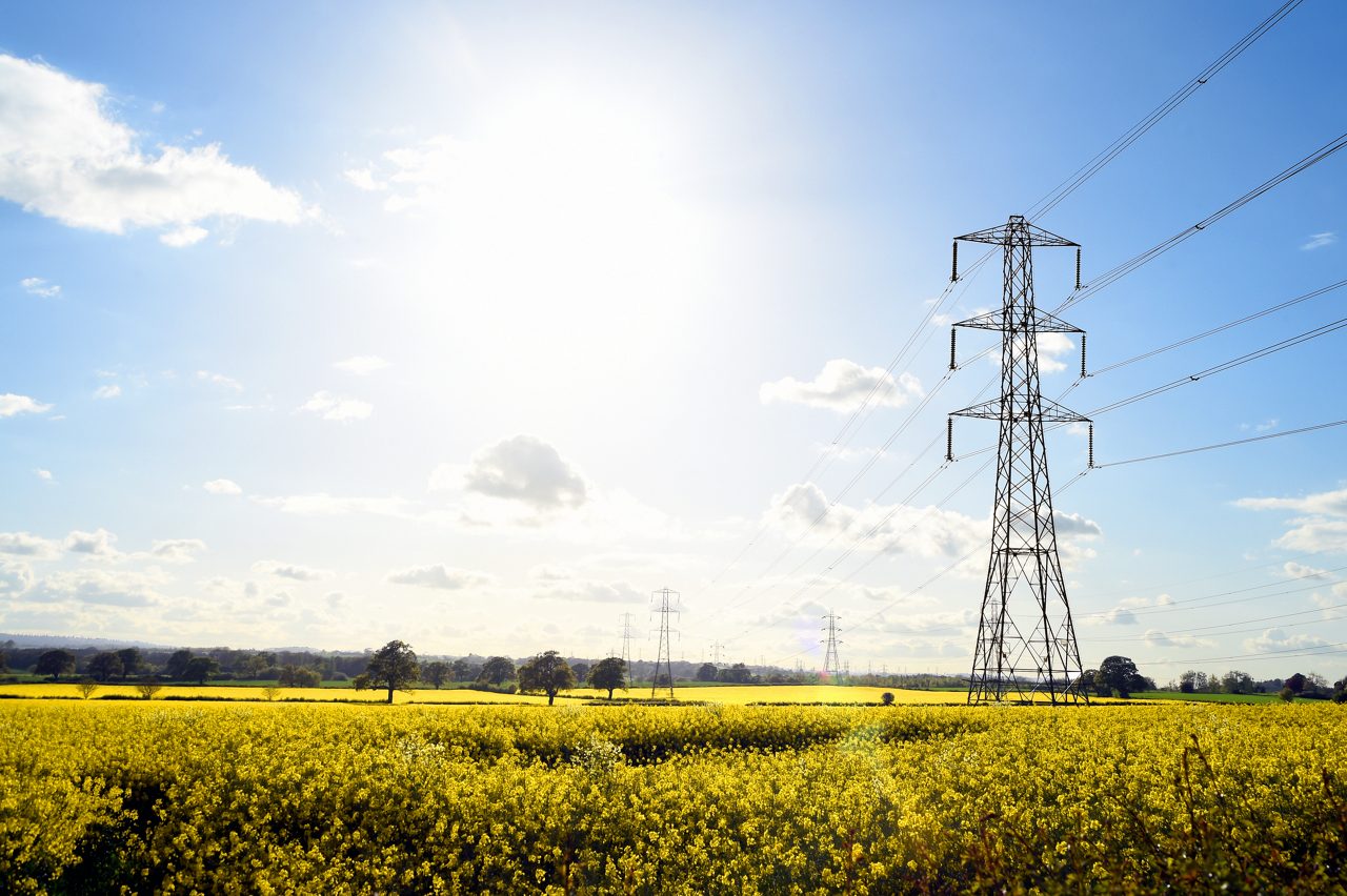 Electricity Grid - Rapeseed Fields