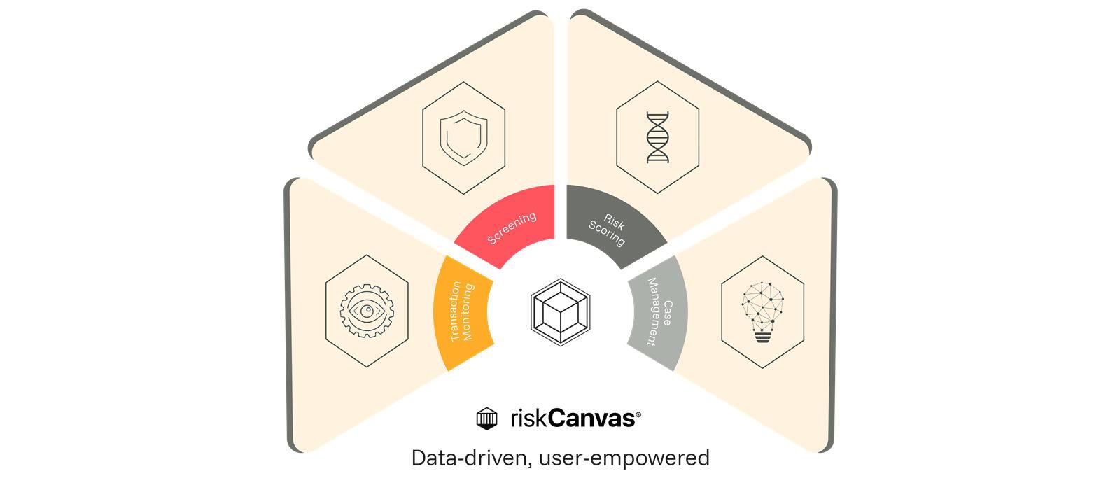 riskcanvas graphic