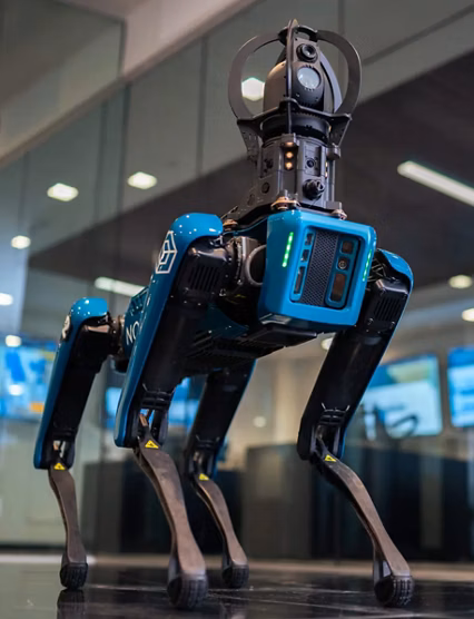 robot dog