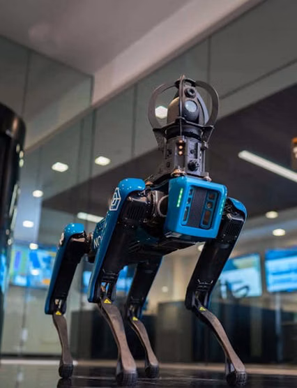 Robot