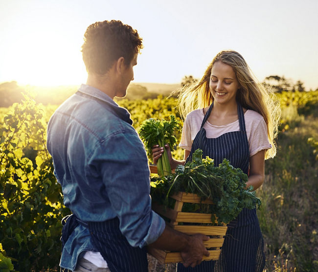 Farming, couple and harvest or vegetables box for support, teamwork or helping farmer in agriculture. People in agro business or sustainable living with field crops, produce or celery plant in basket.