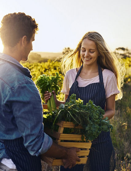 Farming, couple and harvest or vegetables box for support, teamwork or helping farmer in agriculture. People in agro business or sustainable living with field crops, produce or celery plant in basket.