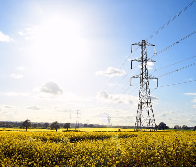 Electricity Grid - Rapeseed Fields