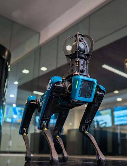 Robot