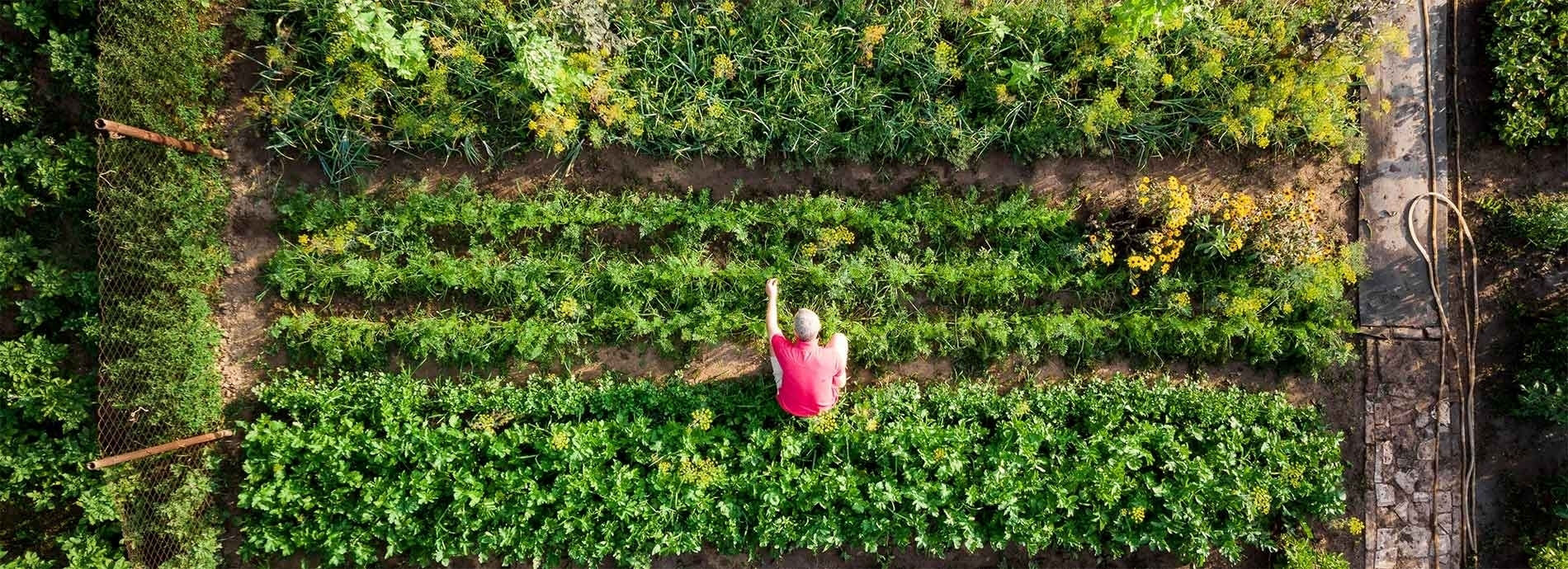 Environment and sustainability
