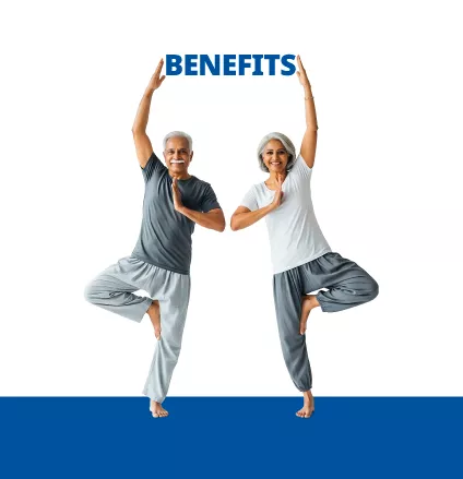 National Pension System