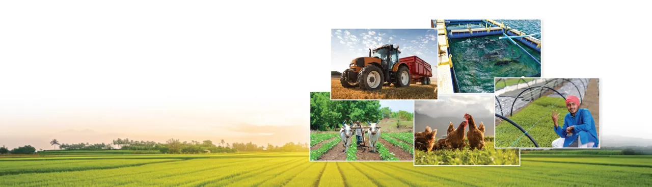 Kisan Card And Kisan Gold Card