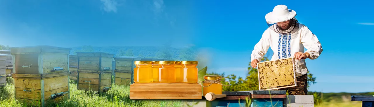 Allied Activities Loans