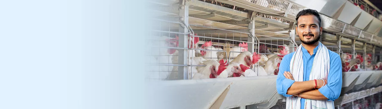 Animal Husbandry Infrastructure