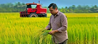 Commodity Businesses