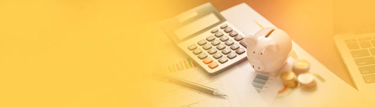 ECLGS - Emergency Credit Line Guarantee Scheme